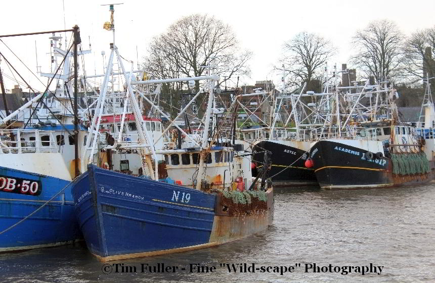 Fishing Boats Kirkcudbright Harbour